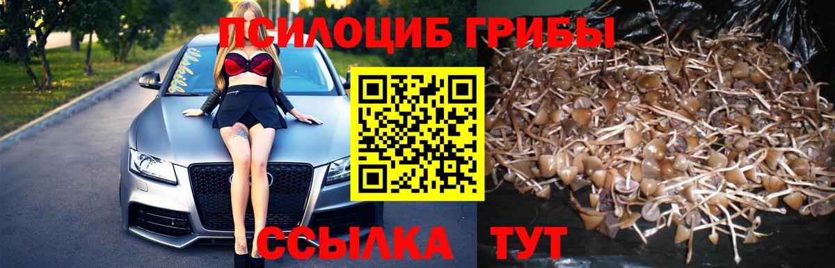 Березники  Псилоцибиновые грибы Psilocybine cubensis  Галлюциногенные грибы Psilocybine cubensis  Вход с VPN 
